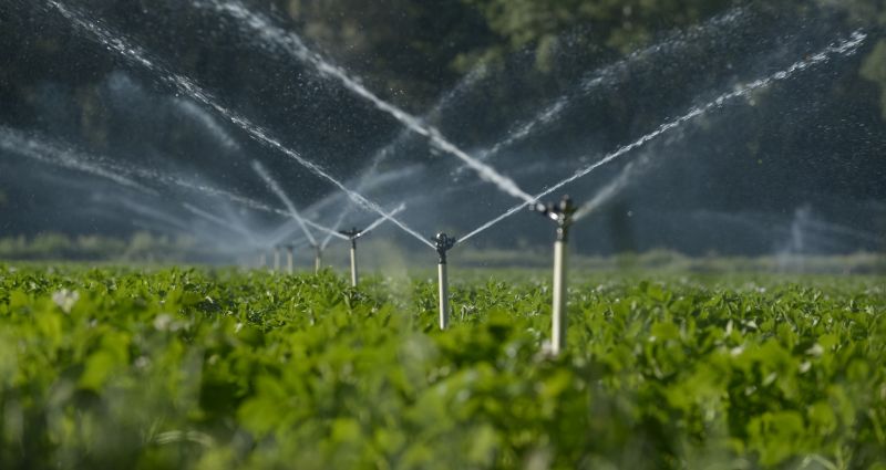 Lawn Sprinkler Installation in Honolulu, HI