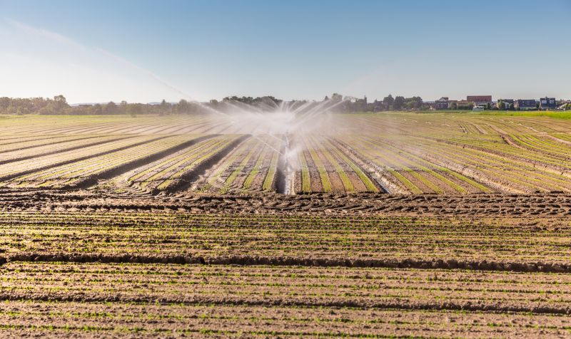 Mist Irrigation Installation in Aiken, SC