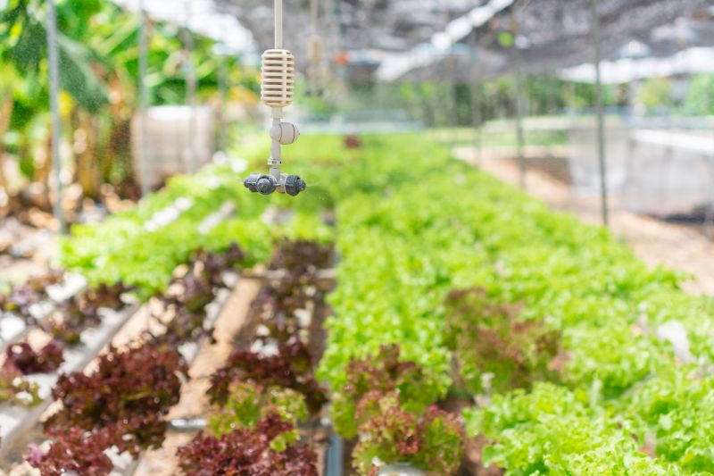 Pop Up Sprinklers Installation in Honolulu, HI