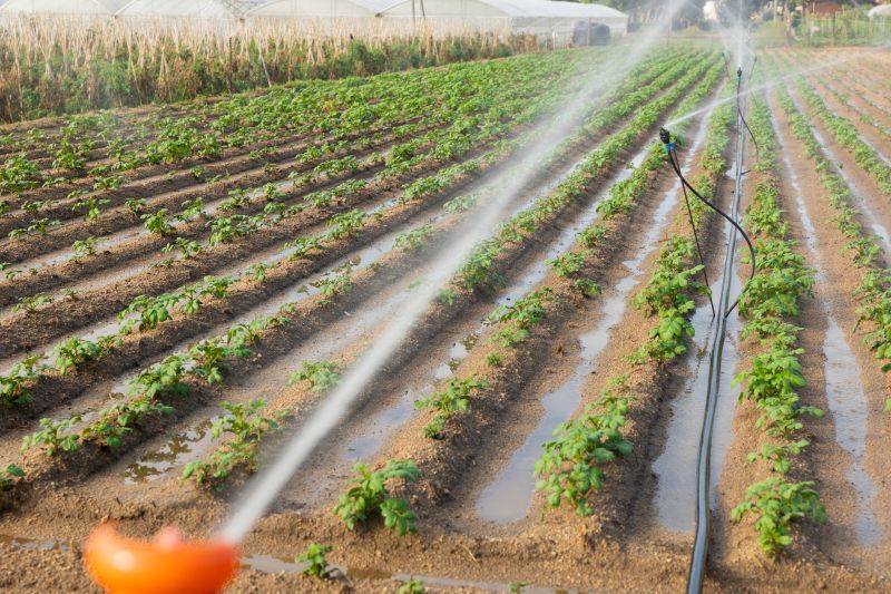 Commercial Irrigation Service in Aiken, SC