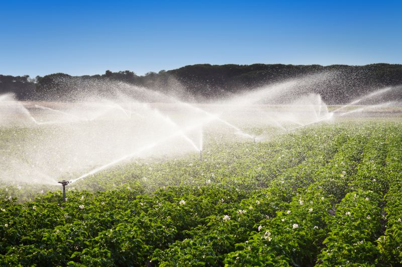 Commercial Irrigation Service in Ventura County, CA