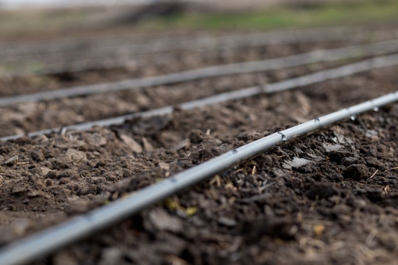 Drip Irrigation Installation in Ventura County, CA