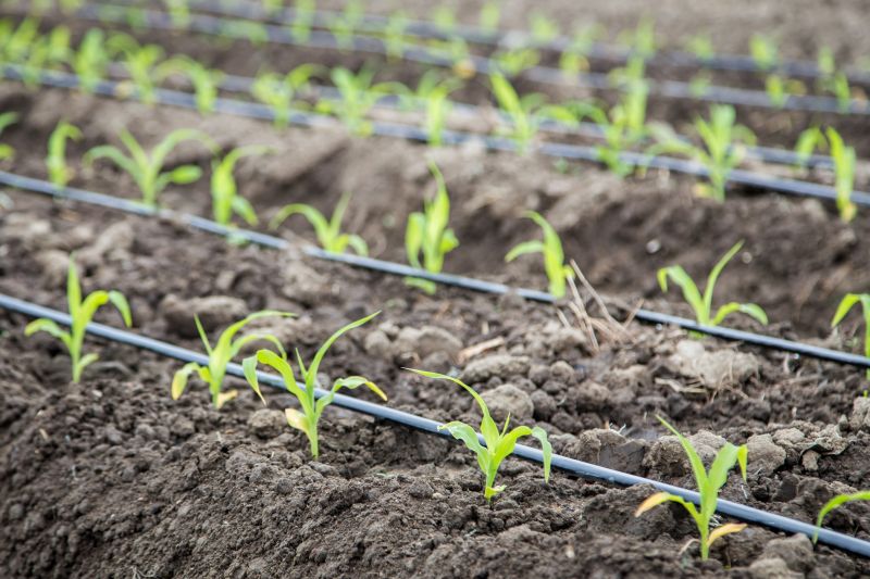 Field Irrigation Installation in Ventura County, CA