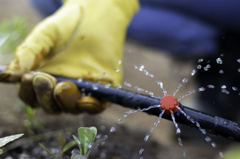 Garden Sprinkler Replacement in Honolulu, HI