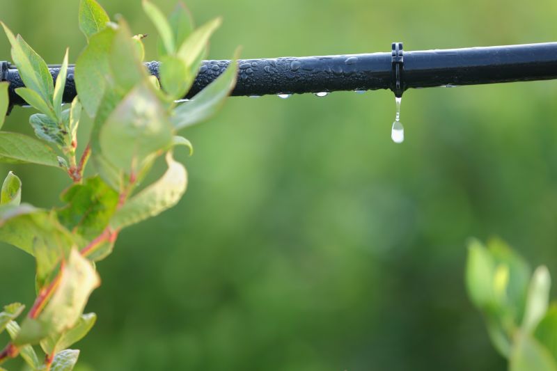 Irrigation Service in Aiken, SC
