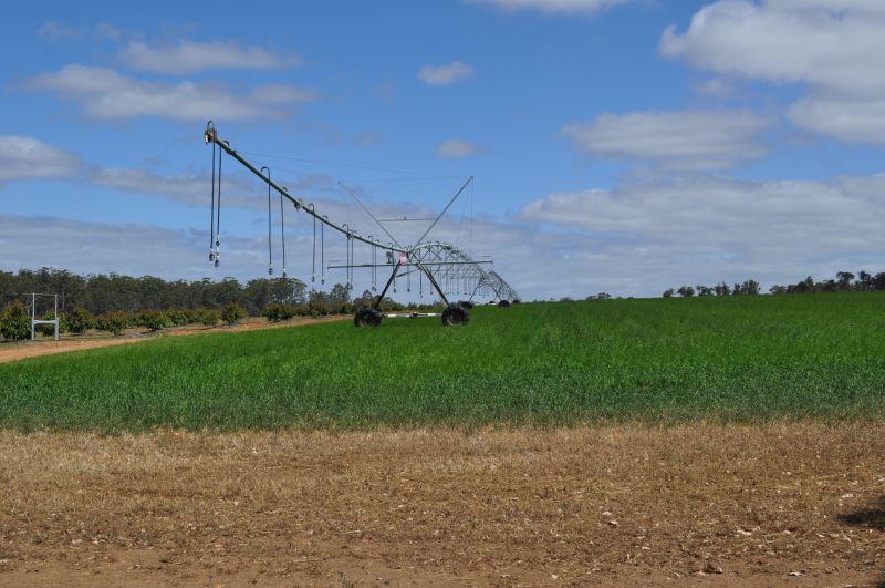 Irrigation Service in Ventura County, CA