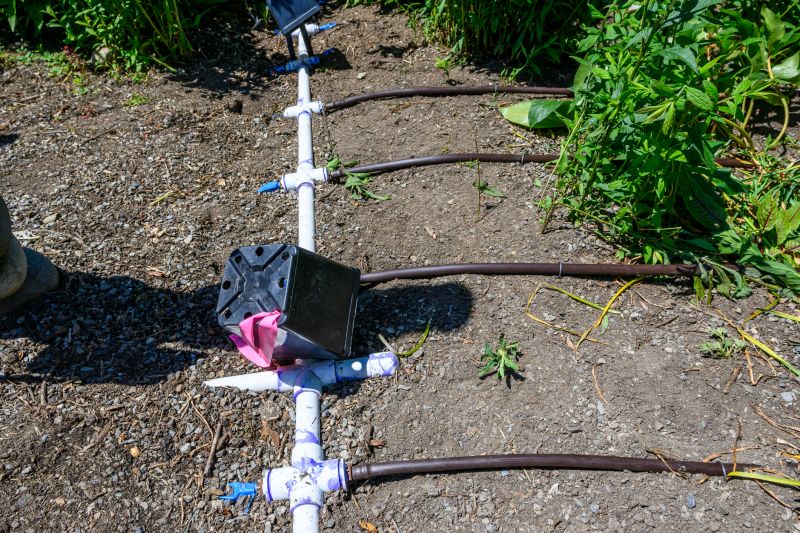 Irrigation System Replacement in Aiken, SC