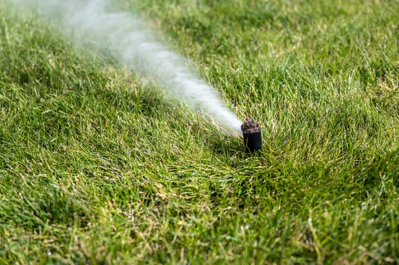 Winterizing Sprinkler Heads
