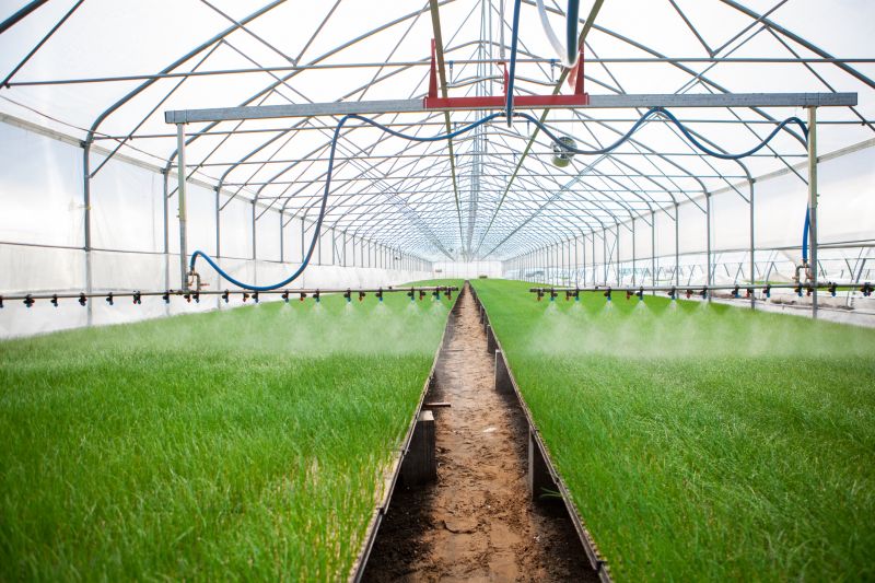 Mist Irrigation Installation in Aiken, SC