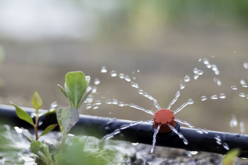 Plant Irrigation Installation in Honolulu, HI