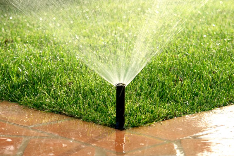 Sprinkler Blowout Service in Reno, NV