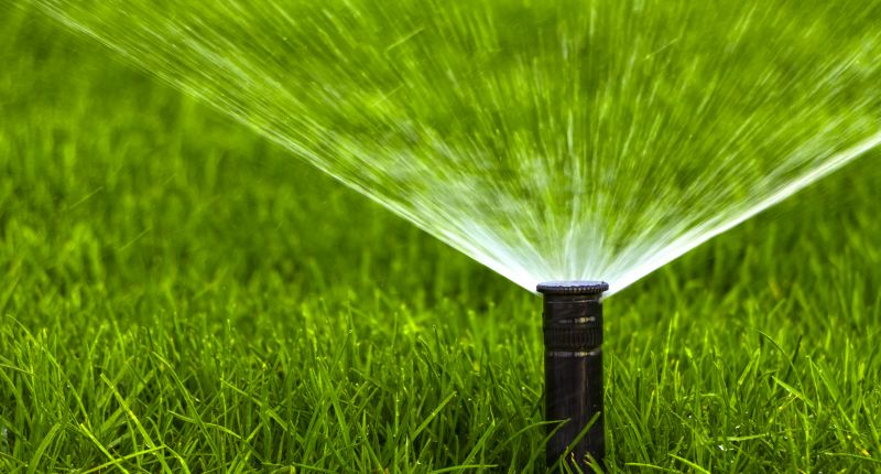 Sprinkler Head Replacement in Ventura County, CA