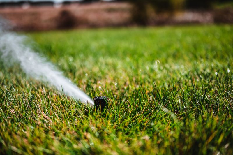 Sprinkler Winterization in Carson City, NV
